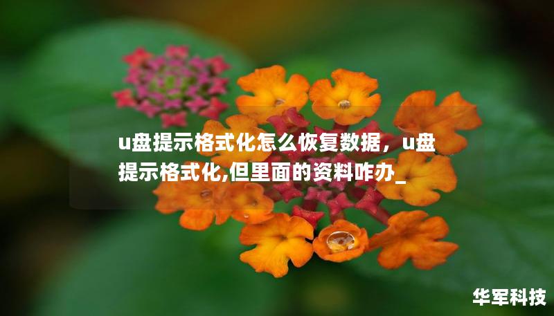 u盤提示格式化怎么恢復數(shù)據，u盤提示格式化,但里面的資料咋辦_