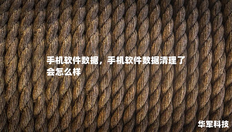 手機軟件數據，手機軟件數據清理了會怎么樣