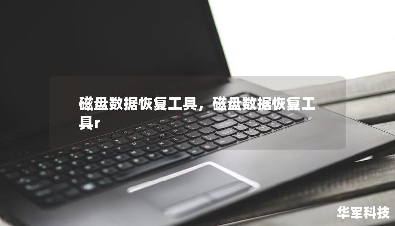 磁盤數據恢復工具，磁盤數據恢復工具r