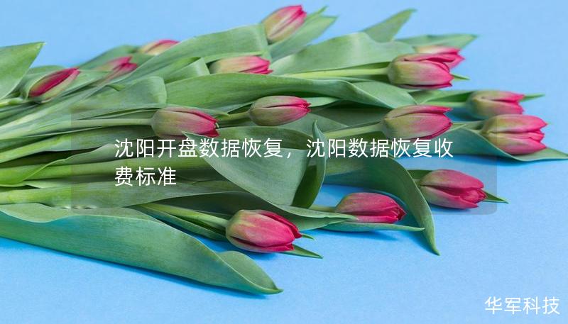 沈陽(yáng)開盤數(shù)據(jù)恢復(fù)，沈陽(yáng)數(shù)據(jù)恢復(fù)收費(fèi)標(biāo)準(zhǔn)