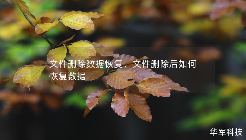 文件刪除數據恢復，文件刪除后如何恢復數據