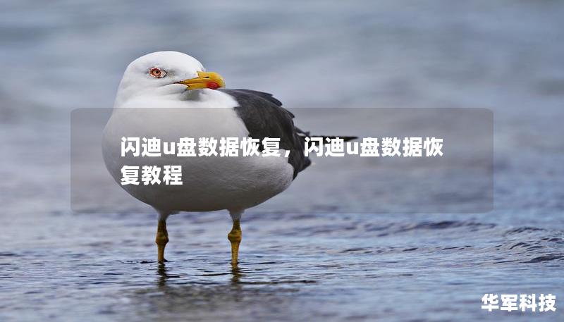 閃迪u盤數(shù)據(jù)恢復，閃迪u盤數(shù)據(jù)恢復教程
