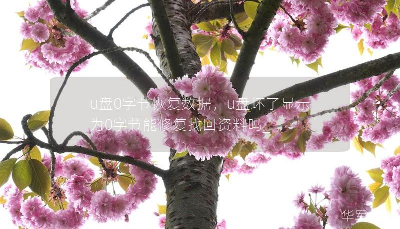 u盤0字節恢復數據，u盤壞了顯示為0字節能修復找回資料嗎_