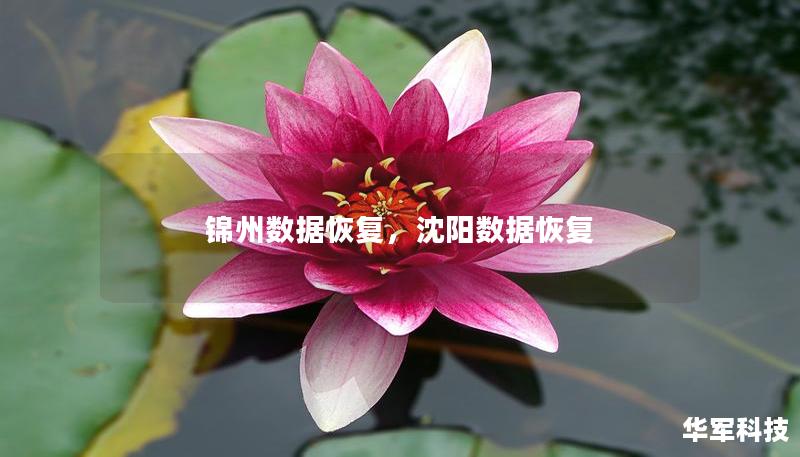 錦州數據恢復，沈陽數據恢復