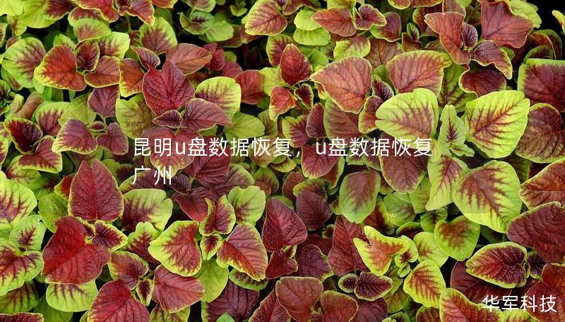 昆明u盤數(shù)據(jù)恢復(fù)，u盤數(shù)據(jù)恢復(fù) 廣州