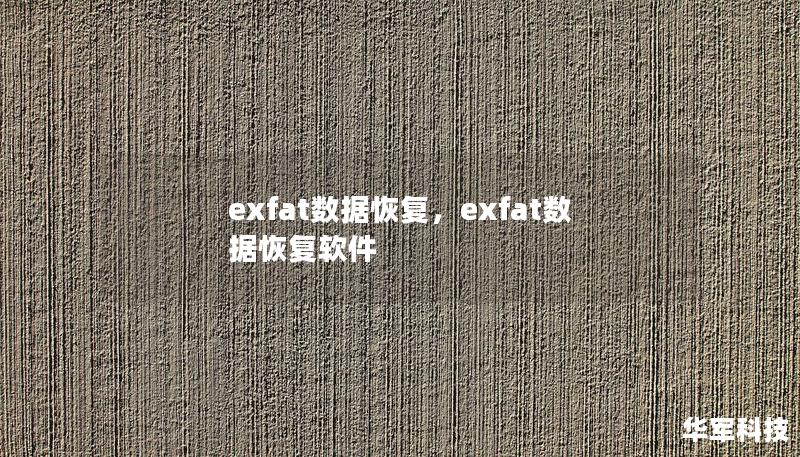 exfat數(shù)據(jù)恢復(fù)，exfat數(shù)據(jù)恢復(fù)軟件