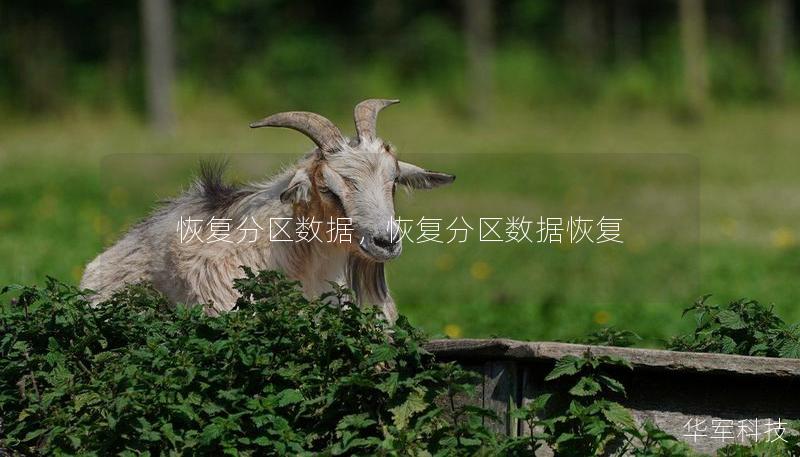 恢復分區數據，恢復分區數據恢復