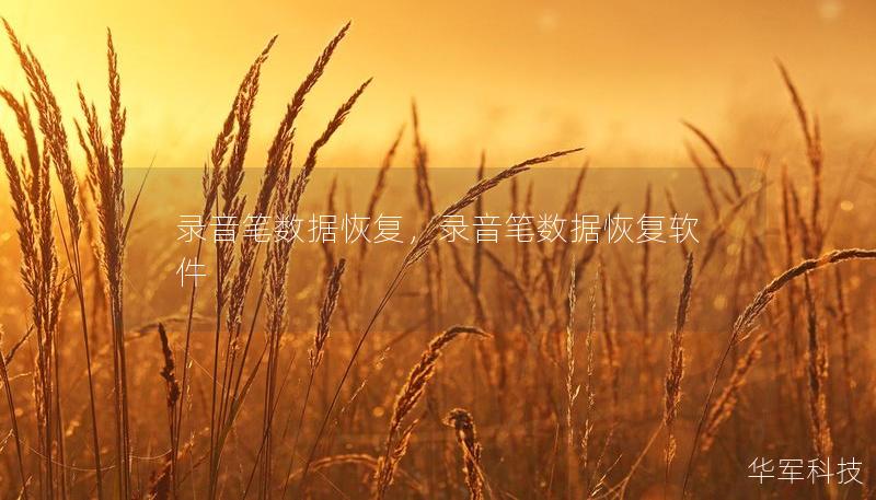 錄音筆數據恢復，錄音筆數據恢復軟件