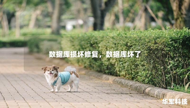 數(shù)據(jù)庫損壞修復(fù)，數(shù)據(jù)庫壞了