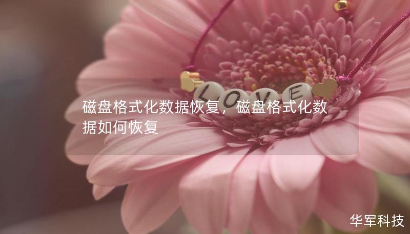 磁盤格式化數據恢復，磁盤格式化數據如何恢復