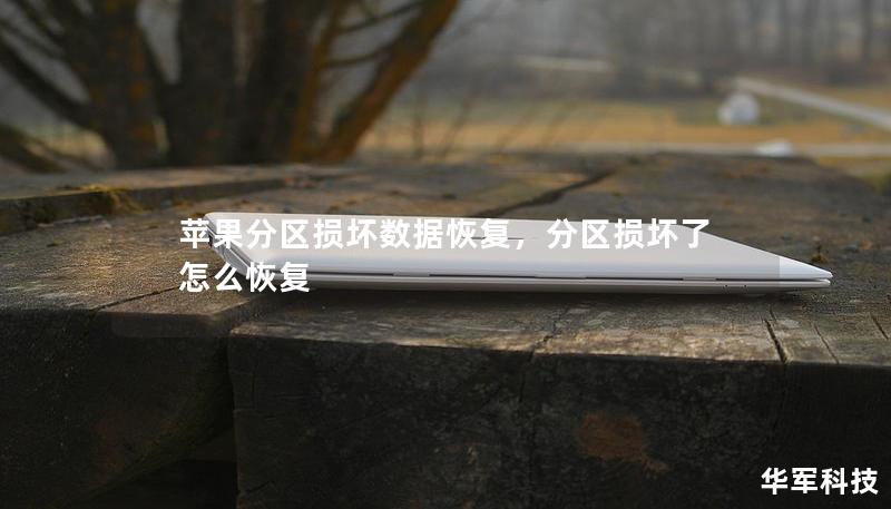 蘋果分區損壞數據恢復，分區損壞了怎么恢復