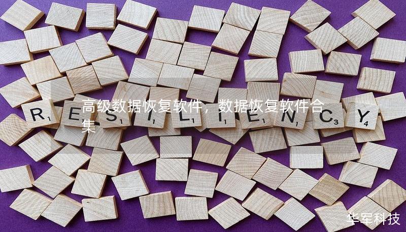 高級數據恢復軟件,數據恢復軟件合集 高級數據恢復軟件,數據恢復軟件合集