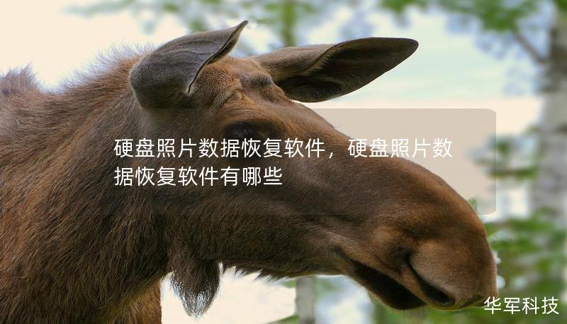 硬盤照片數據恢復軟件，硬盤照片數據恢復軟件有哪些