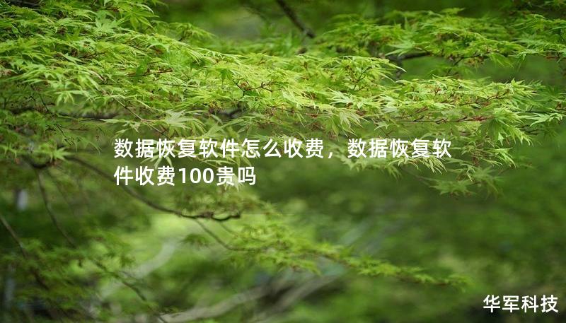 數(shù)據(jù)恢復(fù)軟件怎么收費(fèi)，數(shù)據(jù)恢復(fù)軟件收費(fèi)100貴嗎