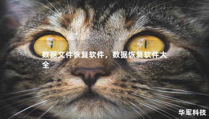 數據文件恢復軟件,數據恢復軟件大全 數據文件恢復軟件,數據恢復軟件大全
