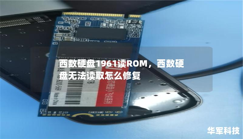 西數硬盤1961讀ROM，西數硬盤無法讀取怎么修復