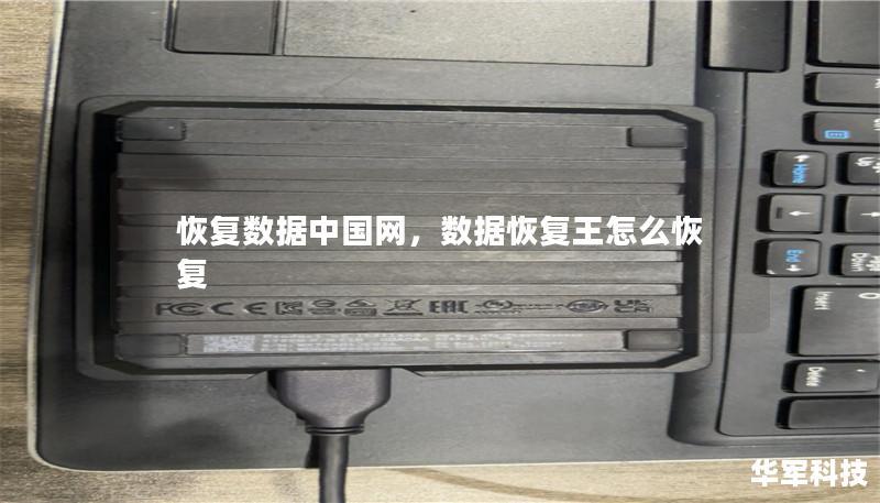恢復數據中國網，數據恢復王怎么恢復