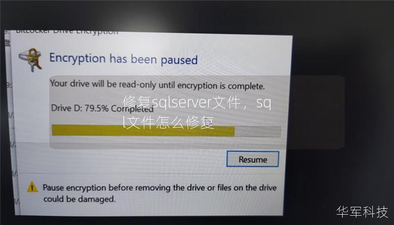 修復sqlserver文件，sql文件怎么修復