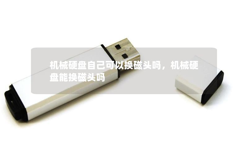 機械硬盤自己可以換磁頭嗎，機械硬盤能換磁頭嗎