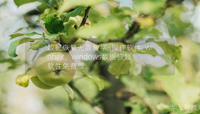 數(shù)據(jù)恢復(fù)無敵教學(xué)~操作軟件_winhex，windows數(shù)據(jù)恢復(fù)軟件免費(fèi)版