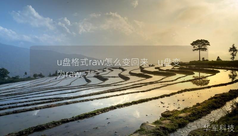 u盤格式raw怎么變回來，u盤變為raw