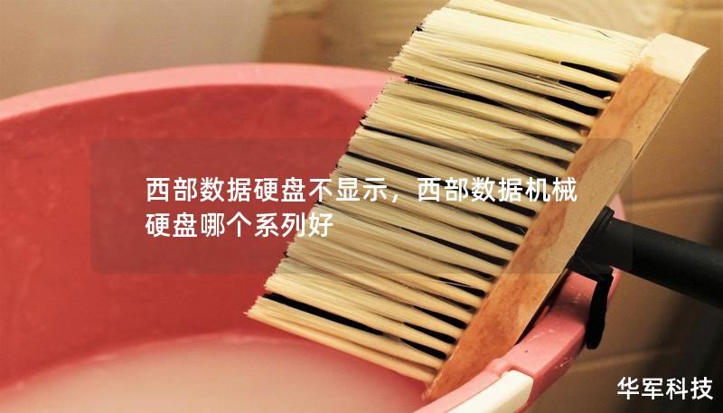西部數(shù)據(jù)硬盤不顯示，西部數(shù)據(jù)機(jī)械硬盤哪個(gè)系列好