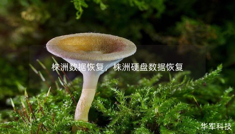 株洲數(shù)據(jù)恢復(fù)，株洲硬盤數(shù)據(jù)恢復(fù)
