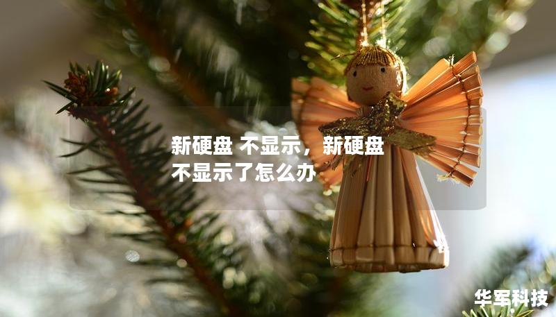 新硬盤 不顯示，新硬盤 不顯示了怎么辦