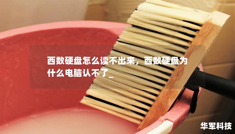 西數(shù)硬盤怎么讀不出來(lái)，西數(shù)硬盤為什么電腦認(rèn)不了_