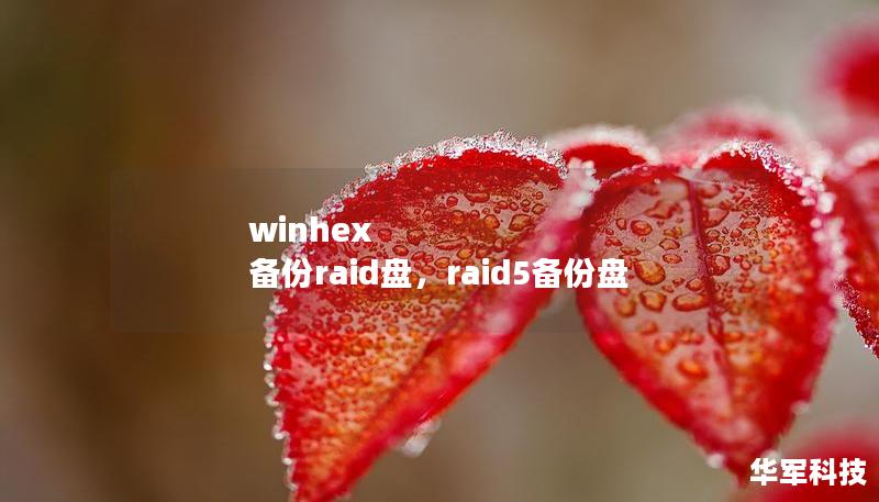 winhex 備份raid盤，raid5備份盤