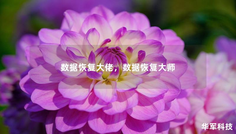 數(shù)據(jù)恢復(fù)大佬，數(shù)據(jù)恢復(fù)大師