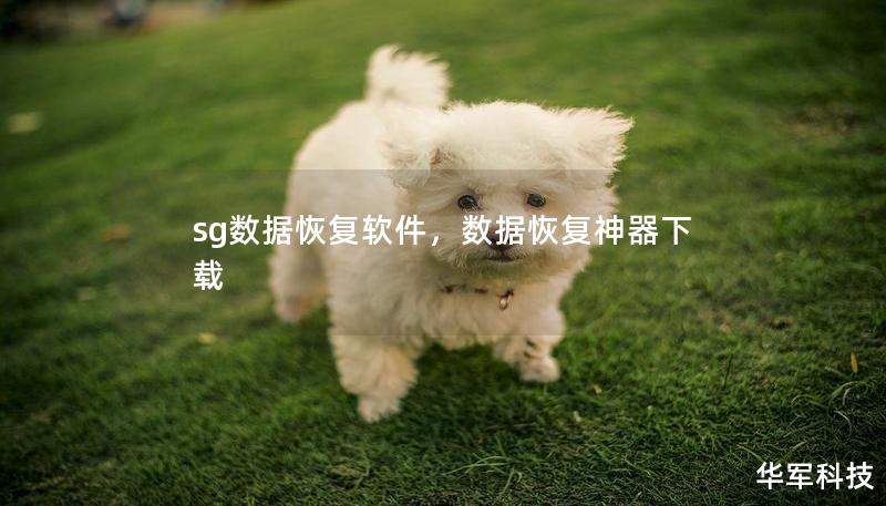 sg數據恢復軟件，數據恢復神器下載