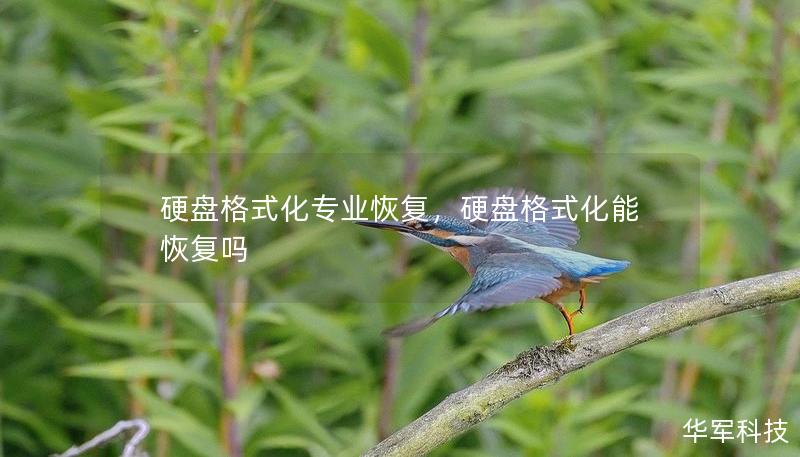 硬盤格式化專業(yè)恢復(fù)，硬盤格式化能恢復(fù)嗎