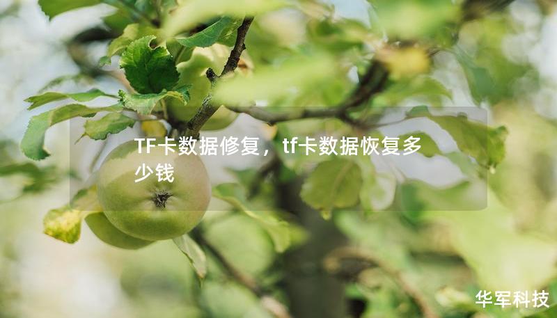 TF卡數據修復，tf卡數據恢復多少錢