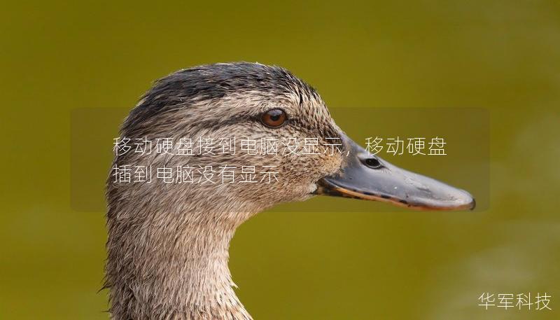 移動硬盤接到電腦沒顯示，移動硬盤插到電腦沒有顯示