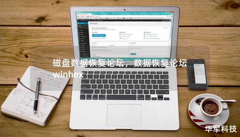 磁盤數(shù)據(jù)恢復(fù)論壇，數(shù)據(jù)恢復(fù)論壇 winhex