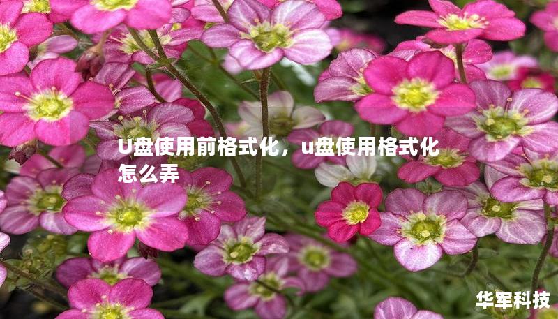 U盤(pán)使用前格式化，u盤(pán)使用格式化怎么弄