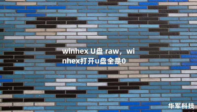 winhex U盤 raw，winhex打開u盤全是0