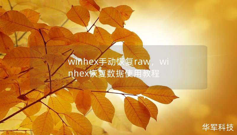 winhex手動恢復raw，winhex恢復數據使用教程