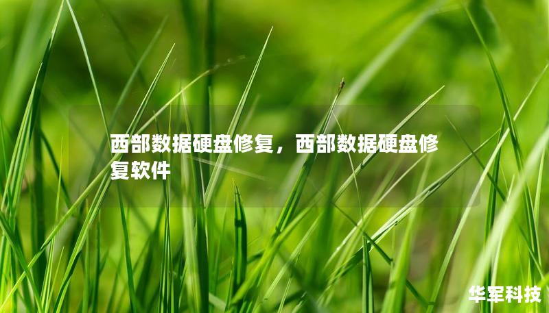 西部數(shù)據(jù)硬盤修復(fù)，西部數(shù)據(jù)硬盤修復(fù)軟件