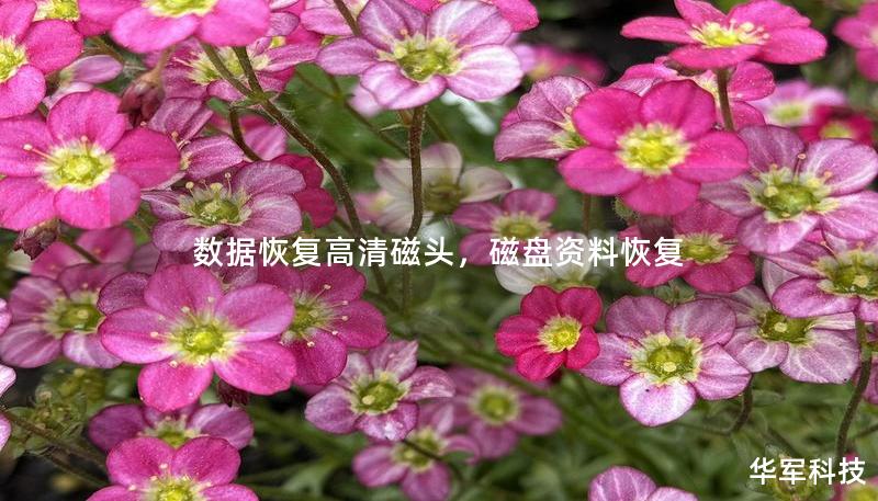 數據恢復高清磁頭，磁盤資料恢復