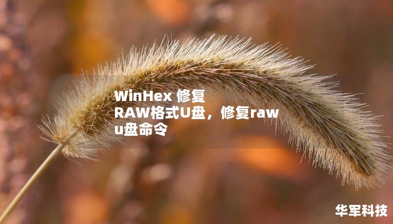 WinHex 修復 RAW格式U盤，修復raw u盤命令