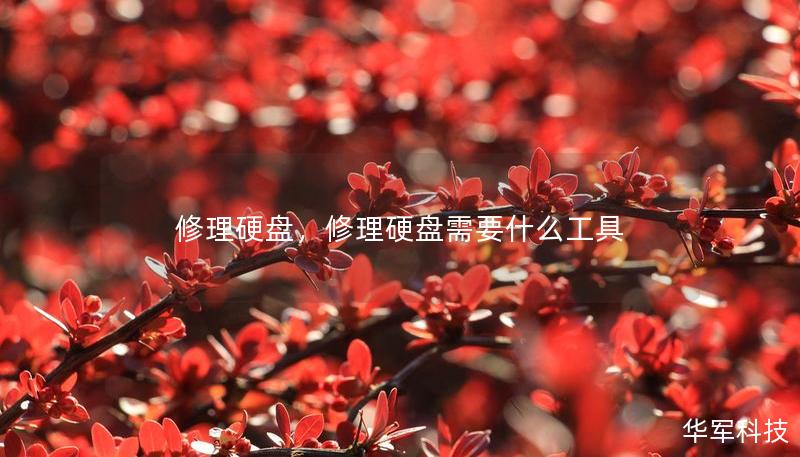 修理硬盤，修理硬盤需要什么工具