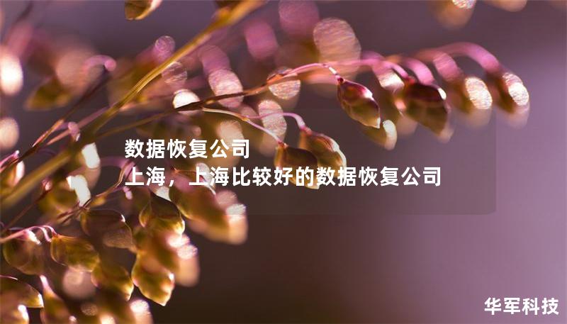 數據恢復公司 上海，上海比較好的數據恢復公司