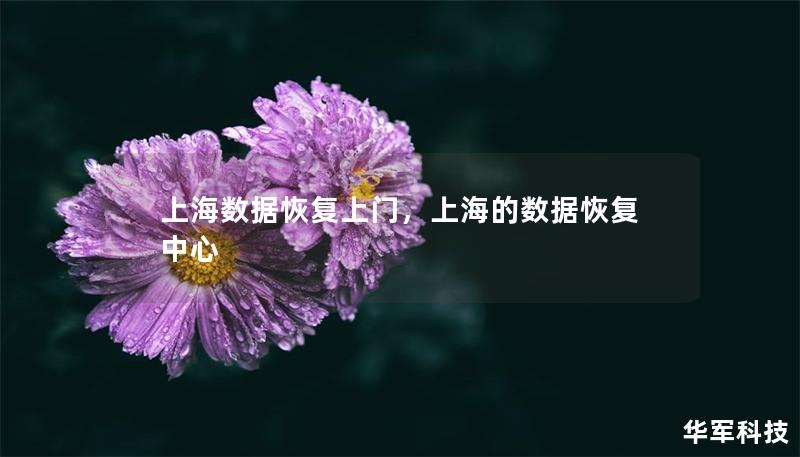 上海數據恢復上門，上海的數據恢復中心