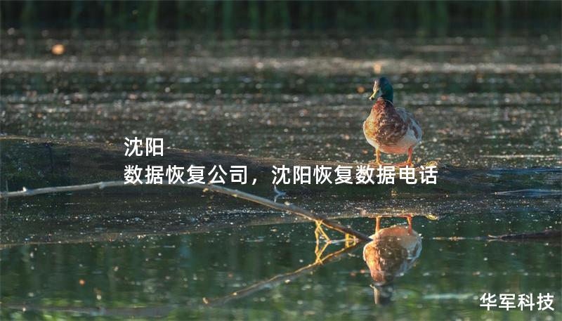 沈陽 數據恢復公司，沈陽恢復數據電話