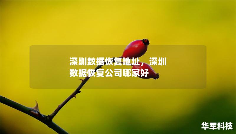深圳數(shù)據(jù)恢復(fù)地址，深圳 數(shù)據(jù)恢復(fù)公司哪家好