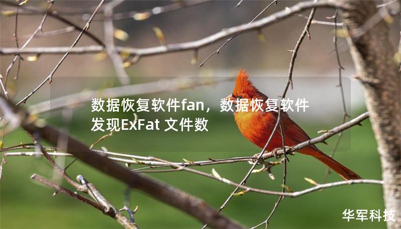 數(shù)據(jù)恢復(fù)軟件fan，數(shù)據(jù)恢復(fù)軟件發(fā)現(xiàn)ExFat 文件數(shù)