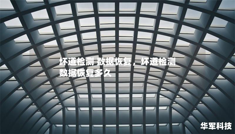 壞道檢測 數據恢復，壞道檢測 數據恢復多久