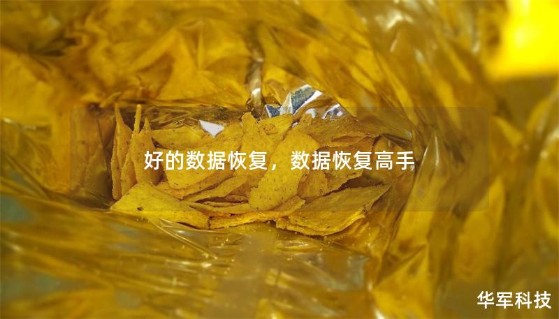 好的數(shù)據(jù)恢復(fù)，數(shù)據(jù)恢復(fù)高手